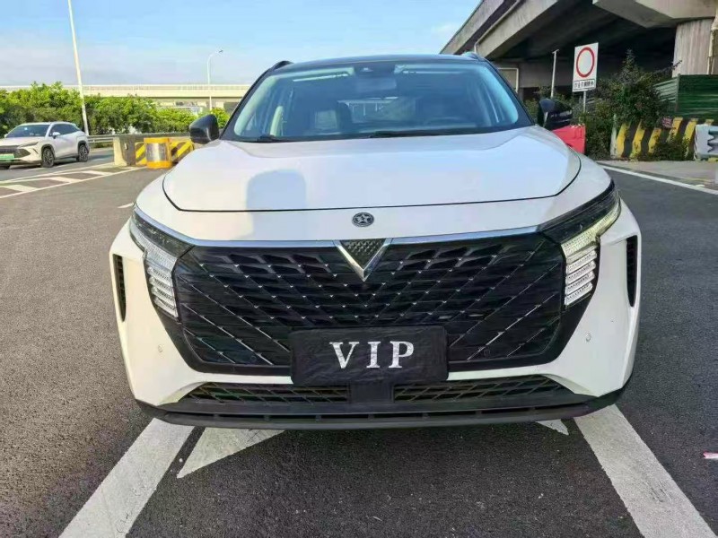 廣州22年啟辰大V1