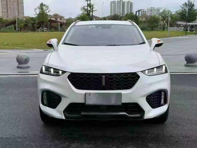 廣州19年長城汽車魏牌1