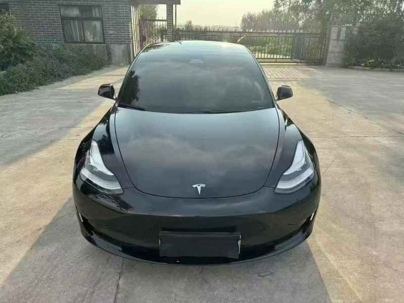 泰安20年特斯拉MODEL 31