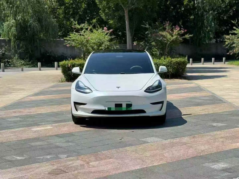 淄博20年特斯拉MODEL 31