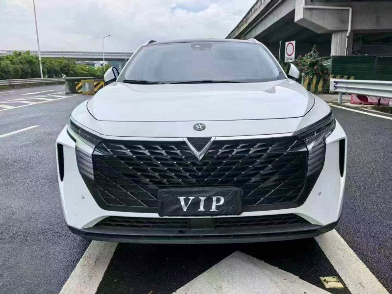 廣州22年啟辰大V1