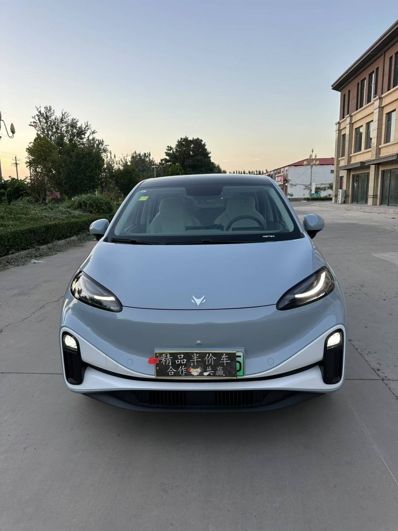 邢臺25年極狐汽車考拉1