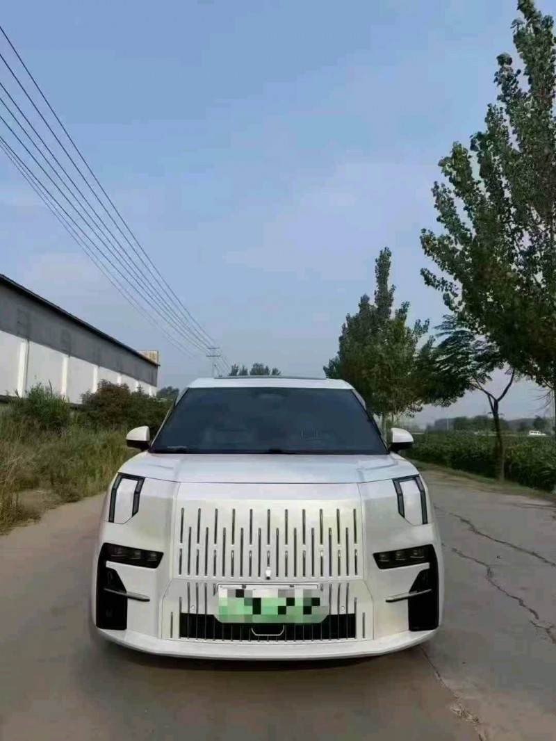 菏澤23年極氪汽車0091