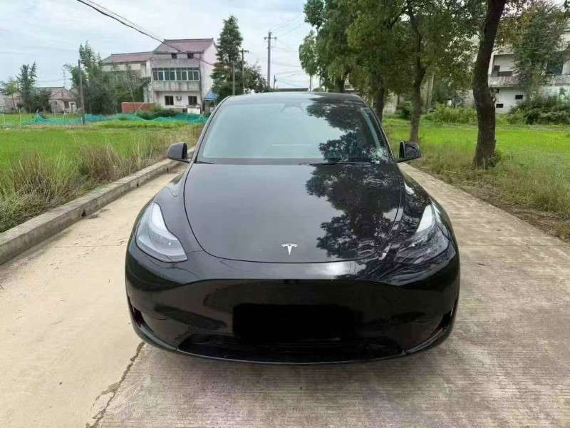 徐州24年特斯拉MODEL Y1