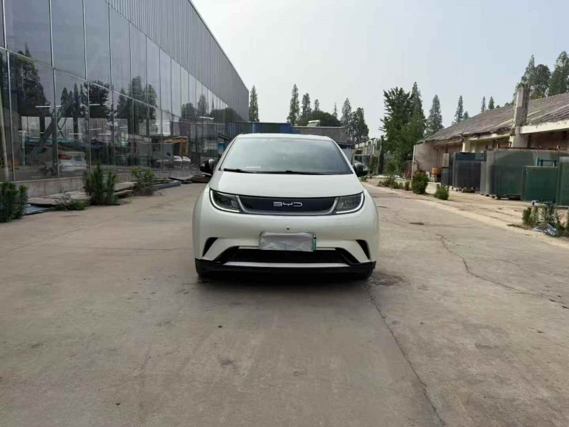徐州23年比亚迪海豚1
