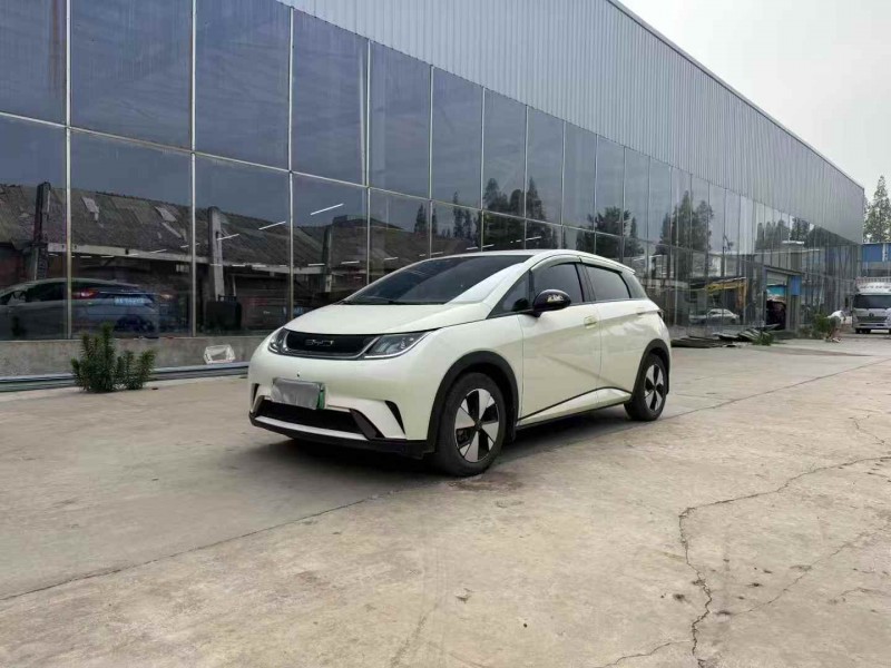 徐州23年比亚迪海豚2