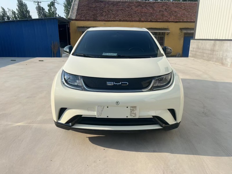 枣庄23年比亚迪海豚1