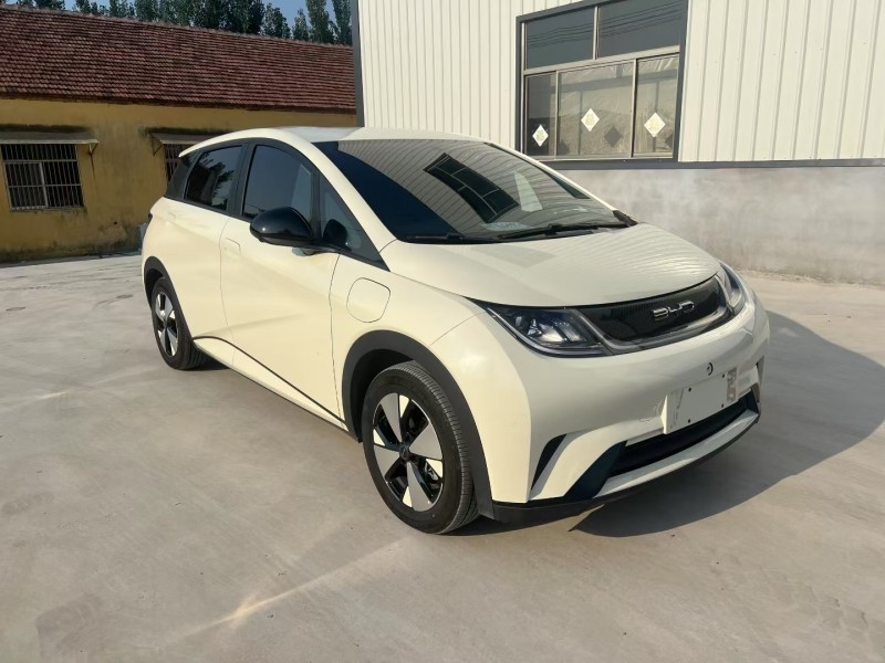 枣庄23年比亚迪海豚2