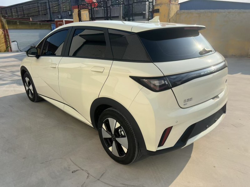 枣庄23年比亚迪海豚4