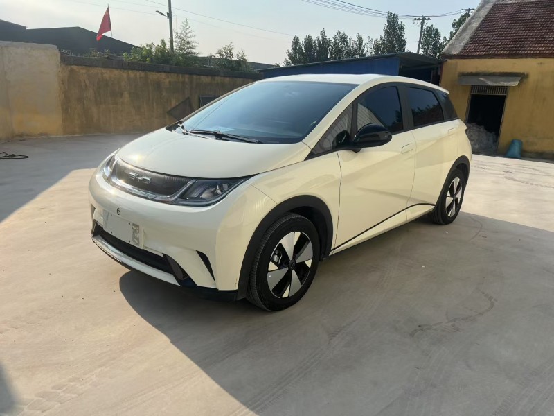 枣庄23年比亚迪海豚6