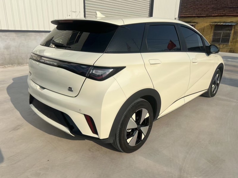 枣庄23年比亚迪海豚8