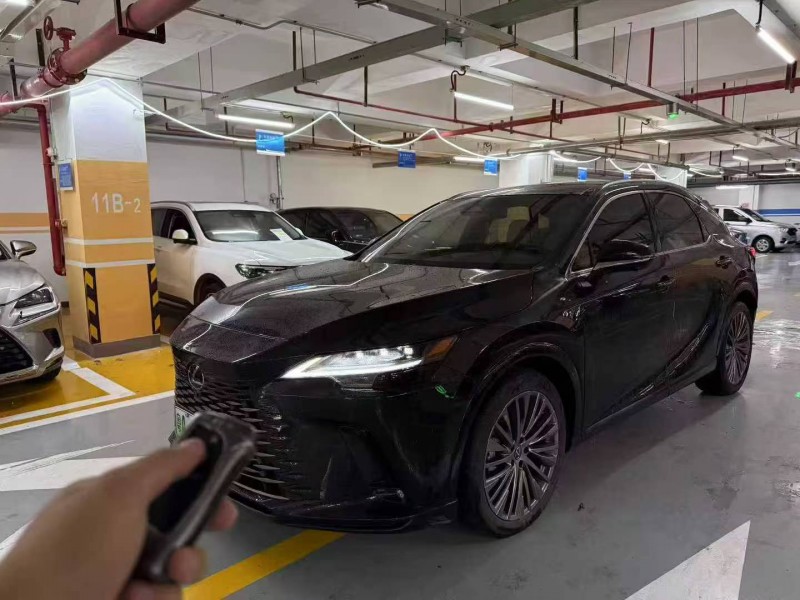 廣州24年雷克薩斯RX2