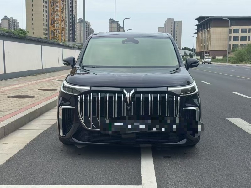 鄭州22年嵐圖汽車夢想家1