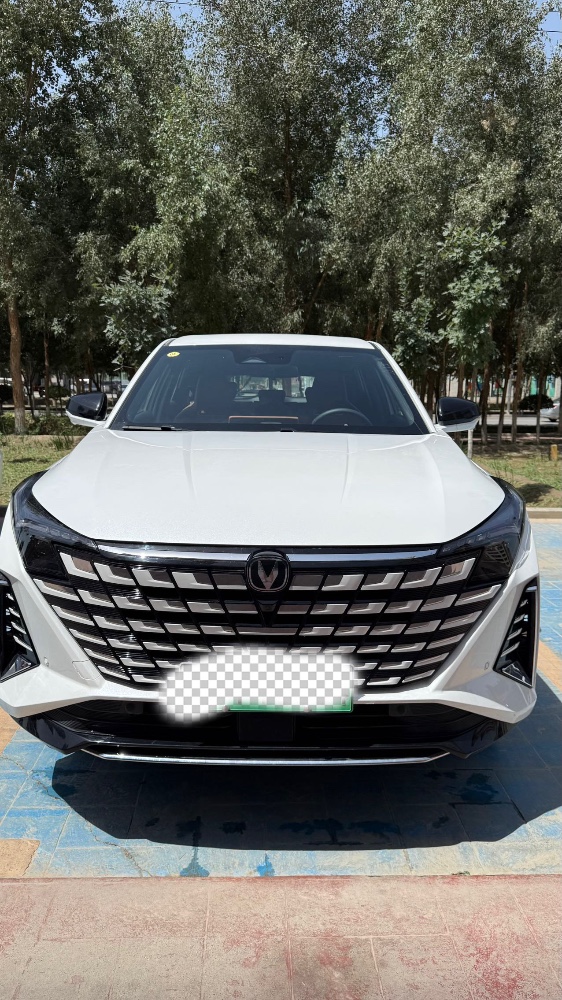 阿拉爾25年長安汽車UNI1
