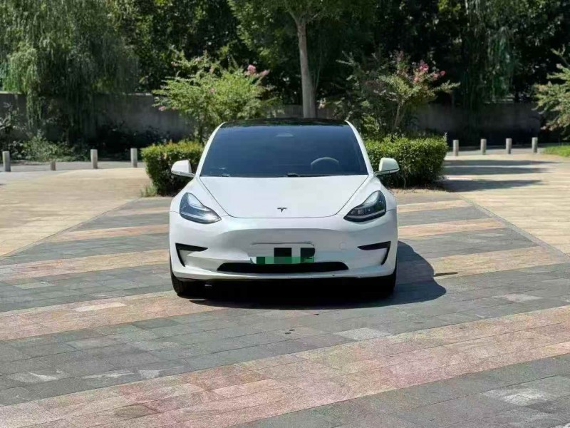 淮安20年特斯拉MODEL 31