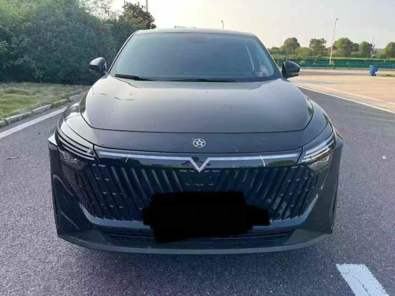 蘇州24年啟辰大V1