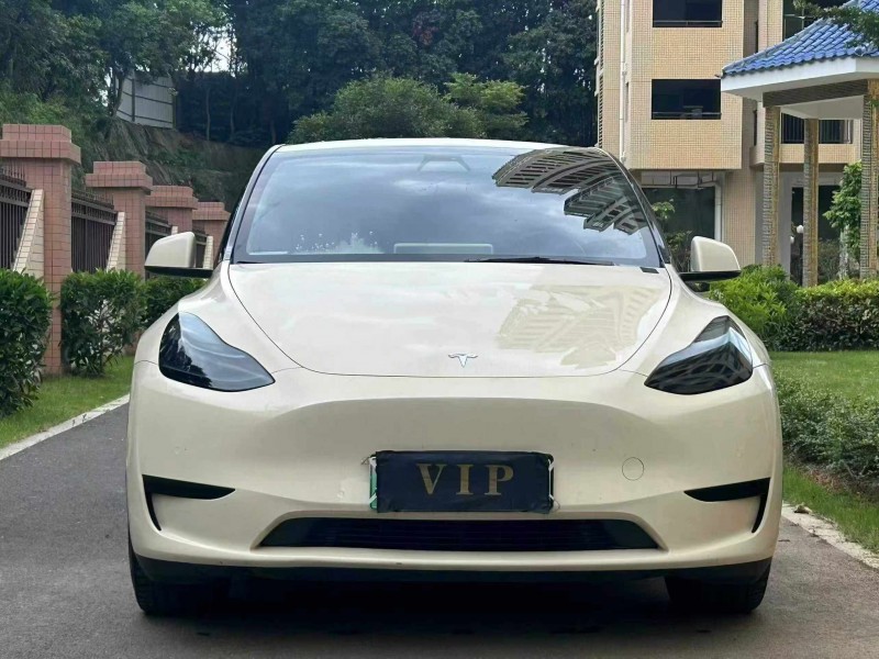東莞22年特斯拉MODEL Y1