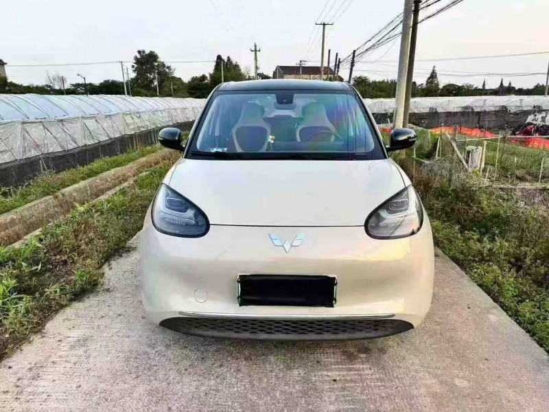 台州23年五菱汽车缤果1