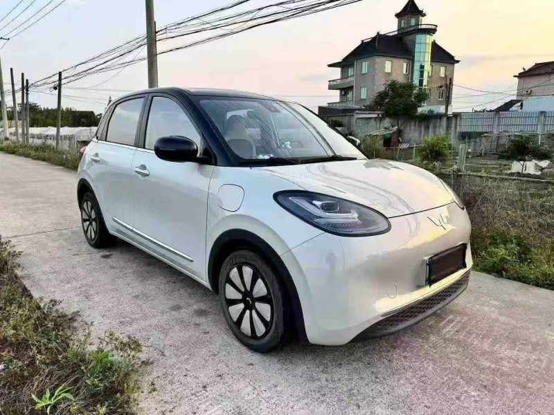 台州23年五菱汽车缤果5