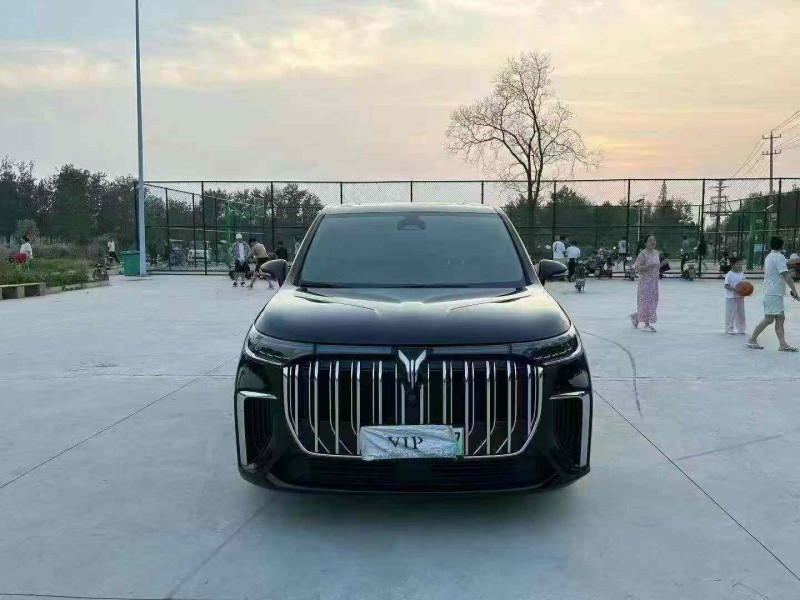 徐州24年嵐圖汽車夢想家1
