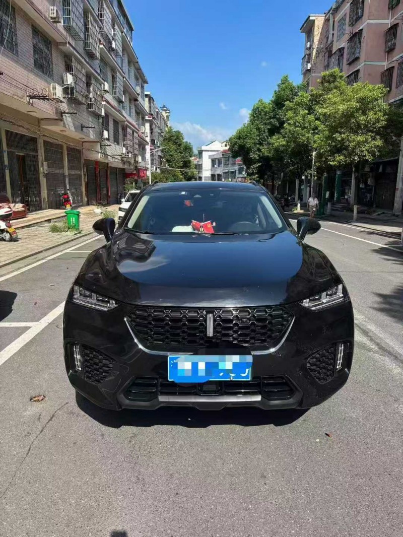 張家界18年長城汽車魏牌1