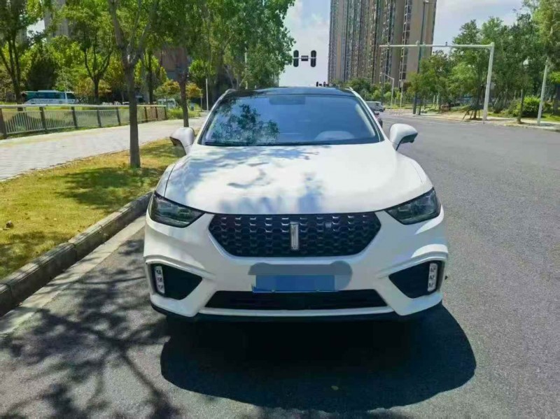 宜昌20年長城汽車魏牌1