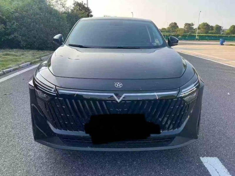 南通24年啟辰大V1