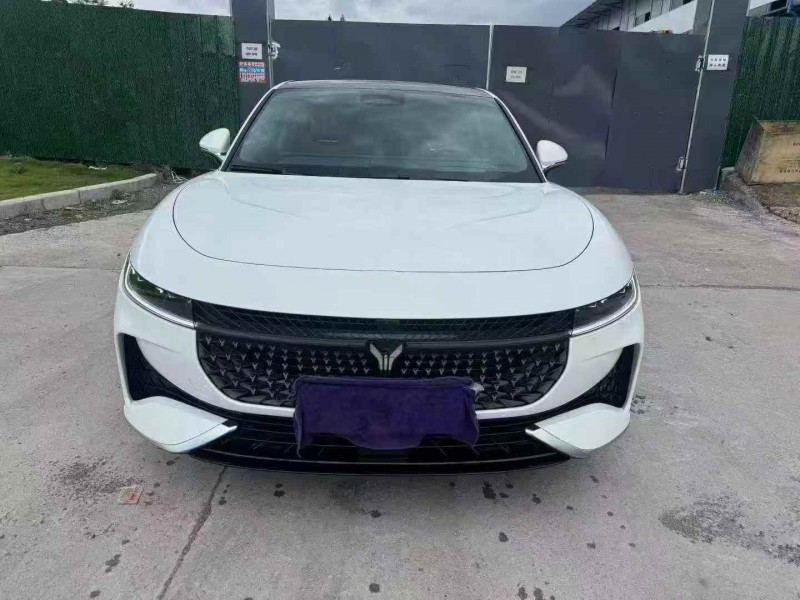 玉林24年嵐圖汽車追光1