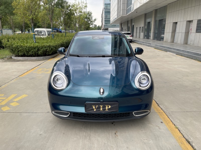 濟寧23年長城汽車歐拉1
