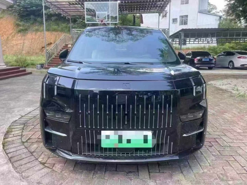 吉安23年極氪汽車0091