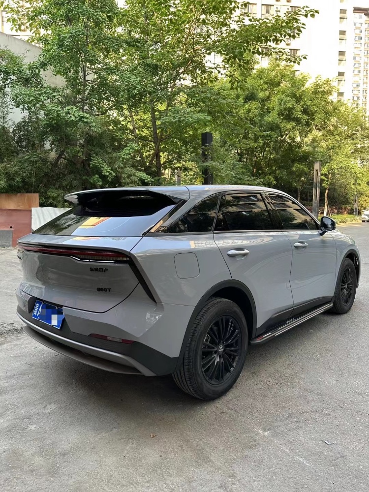 成都24年啟辰大V9