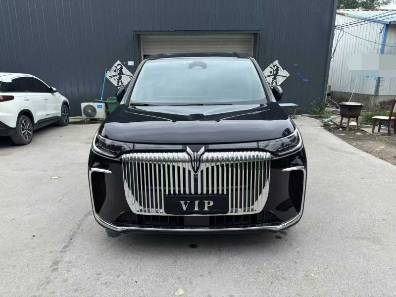 徐州25年嵐圖汽車夢想家1