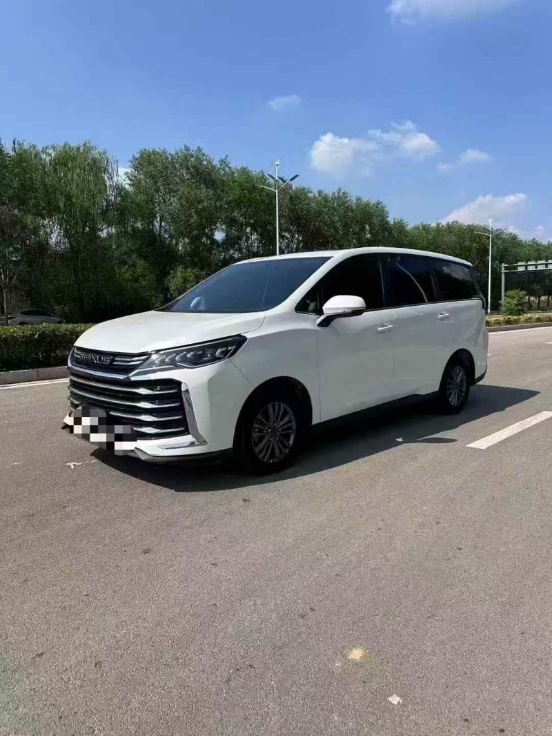 棗莊24年大通G503