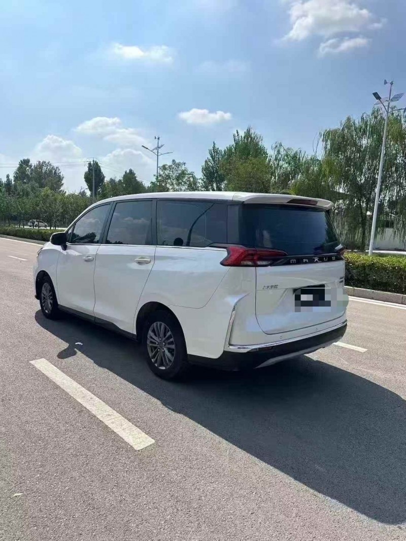 棗莊24年大通G508