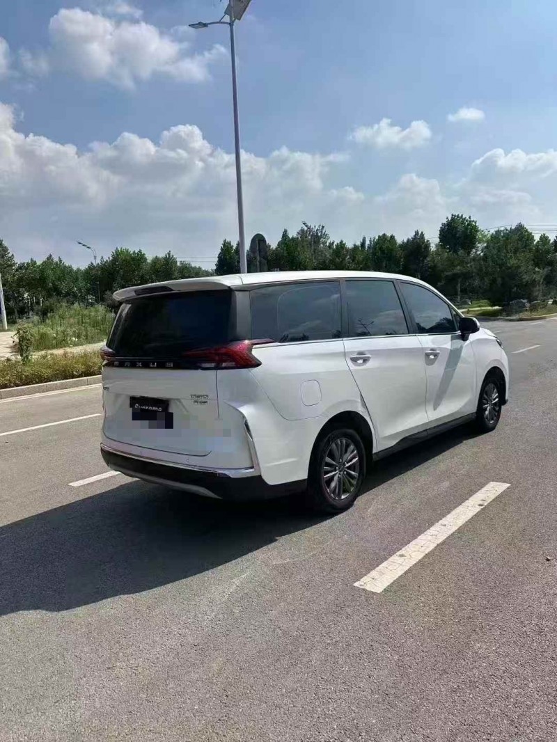 棗莊24年大通G509