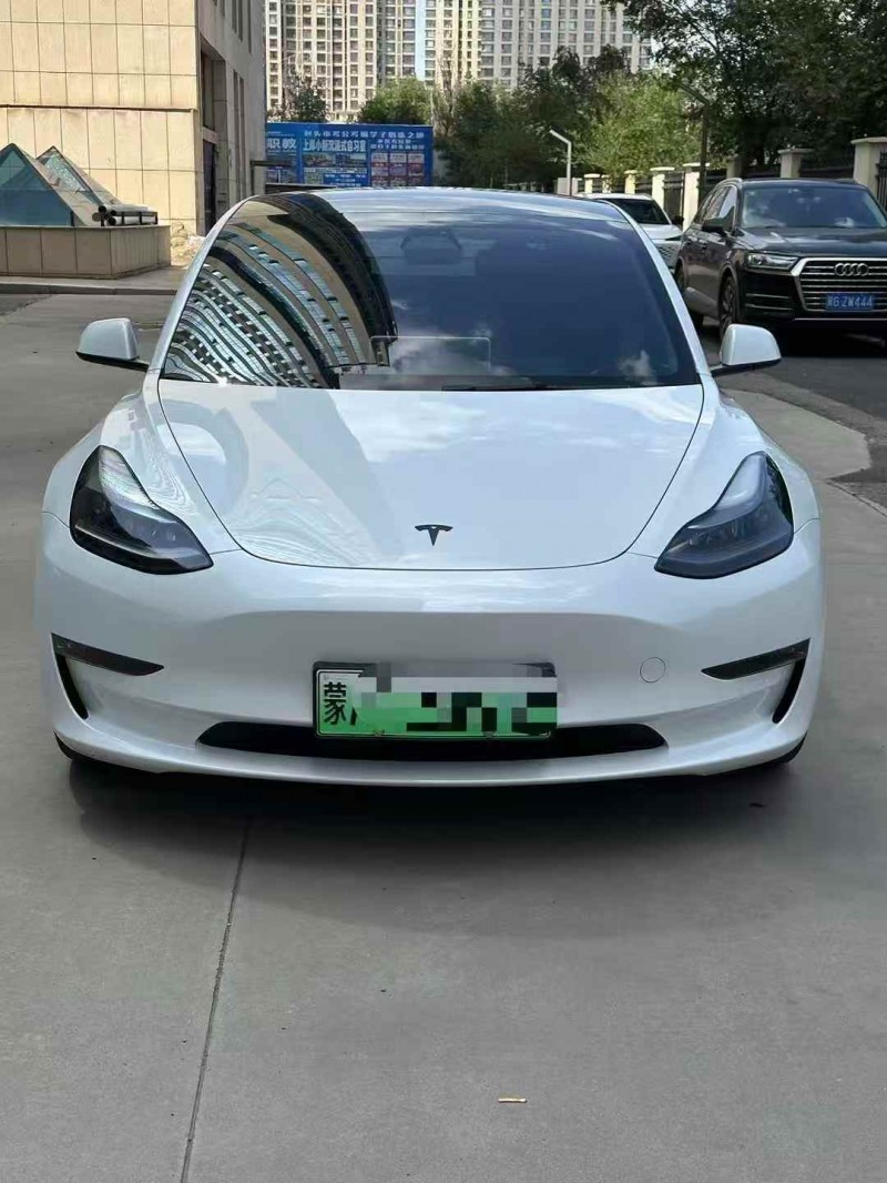 巴彥淖爾23年特斯拉MODEL 31