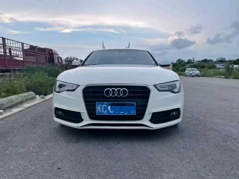 广州12年奥迪A51