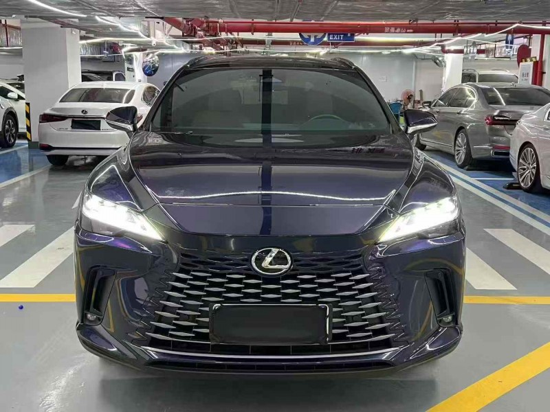 廣州23年雷克薩斯RX1