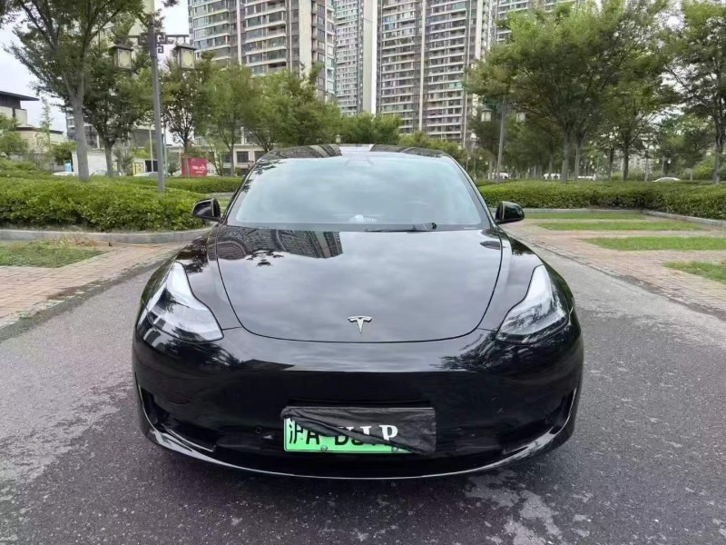 徐州22年特斯拉MODEL 31