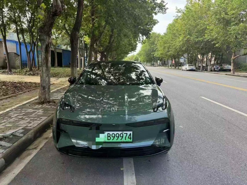 鄂州25年極氪汽車X1