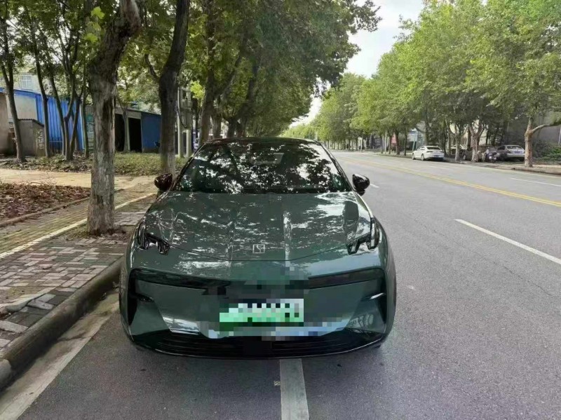 鄂州25年極氪汽車X1