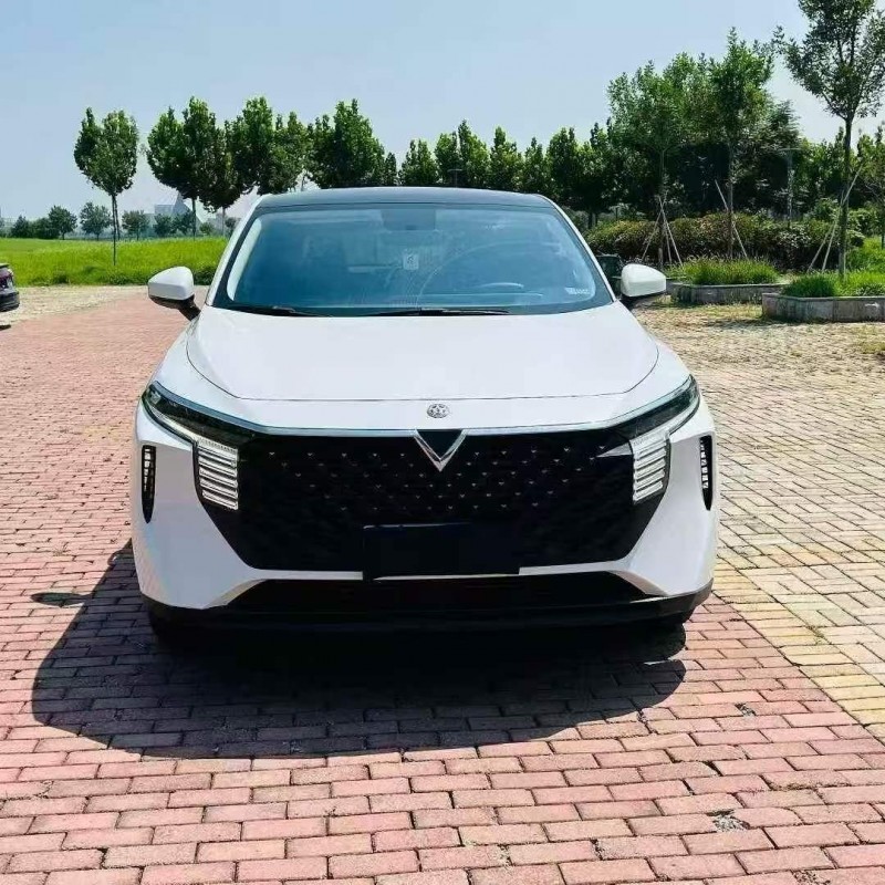 聊城23年啟辰大V1