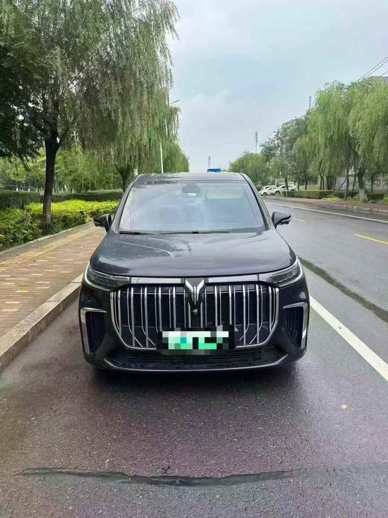濰坊24年嵐圖汽車夢想家1