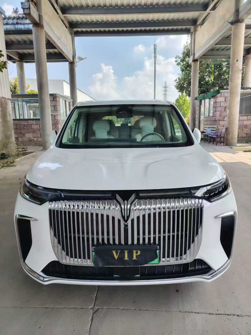 徐州25年嵐圖汽車夢想家1