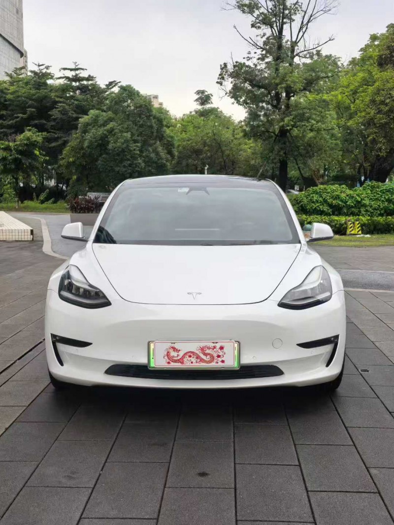 佛山19年特斯拉MODEL 31