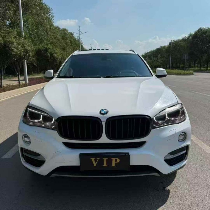 濟寧16年寶馬X61