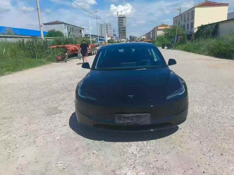 棗莊24年特斯拉MODEL 31