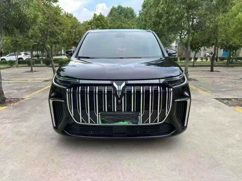 棗莊23年嵐圖汽車夢想家1