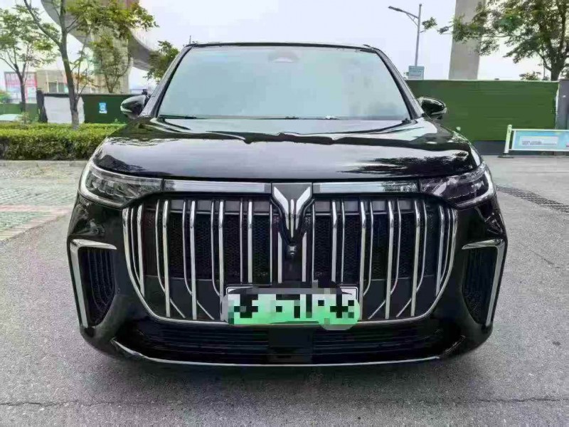 十堰23年嵐圖汽車夢想家1