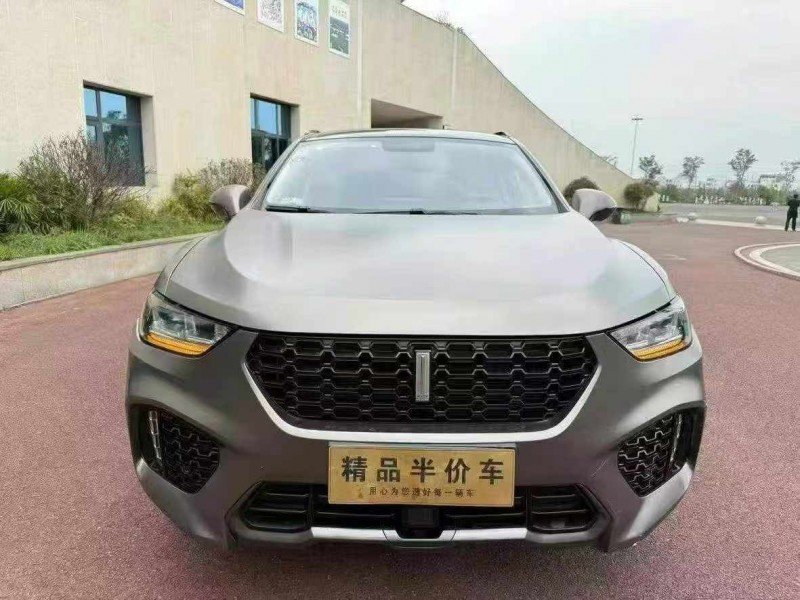 臨滄18年長城汽車魏牌1